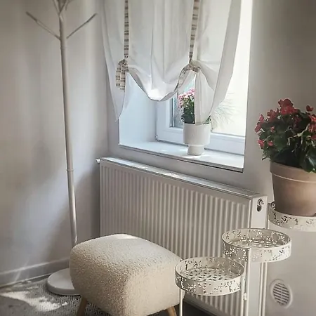 Anna's Kluž