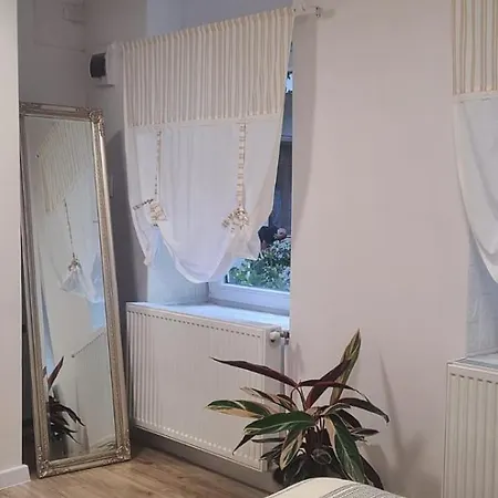 Anna's Cluj-Napoca