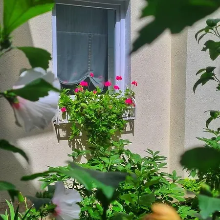 Anna's Apartmán Kluž