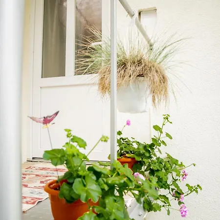 Anna's Apartmán