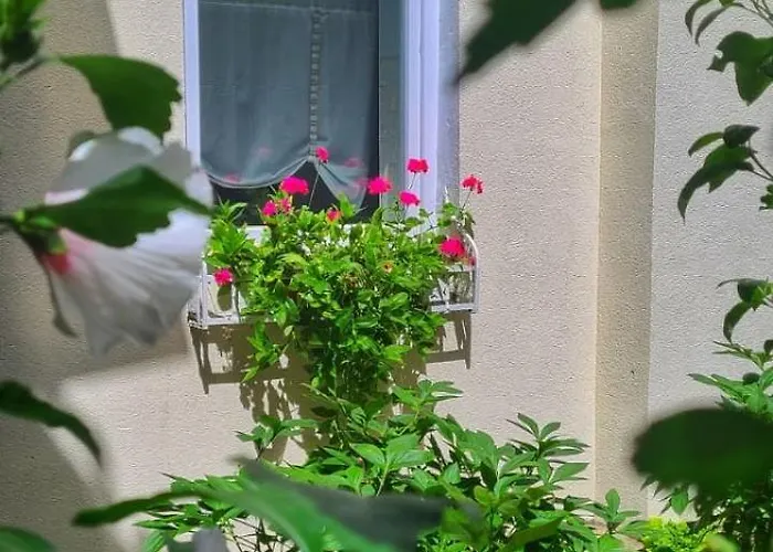 Anna's Apartment Cluj-Napoca