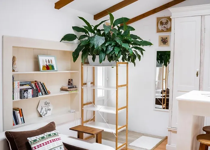 Anna's * Κλουζ-Ναπόκα